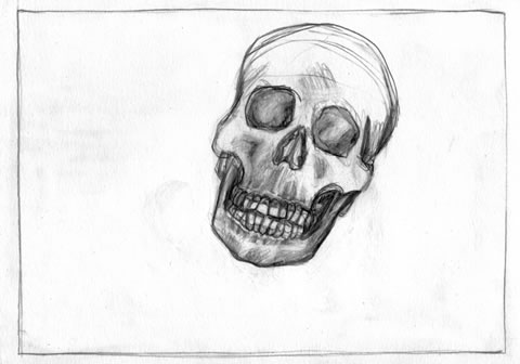 skull.jpg